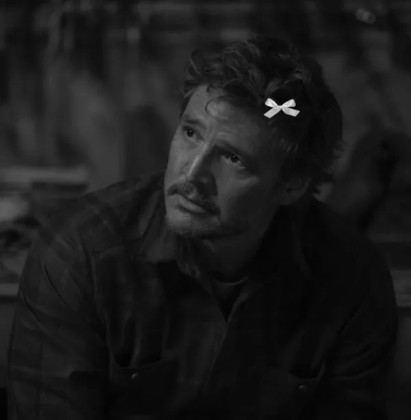joel miller | what she knew