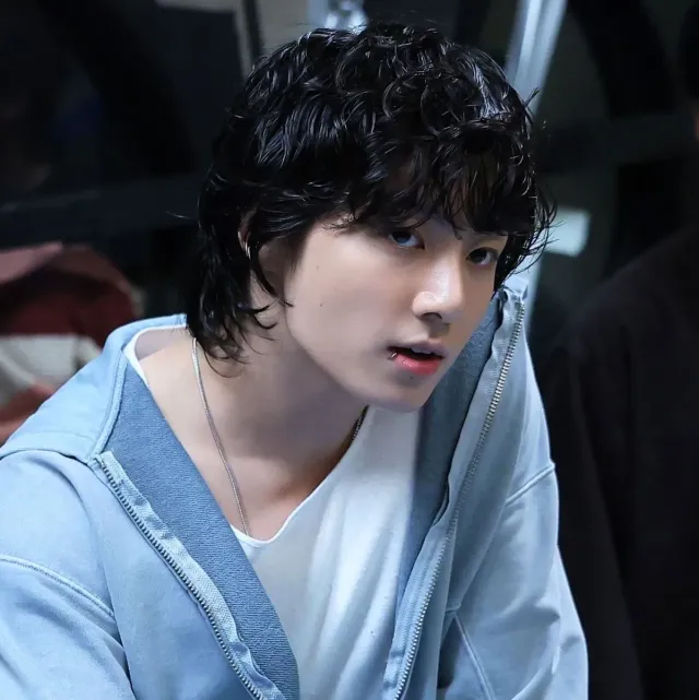 Jeon Jungkook [Human]