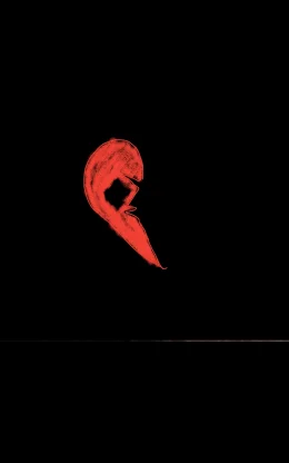 Blood Moon Vow