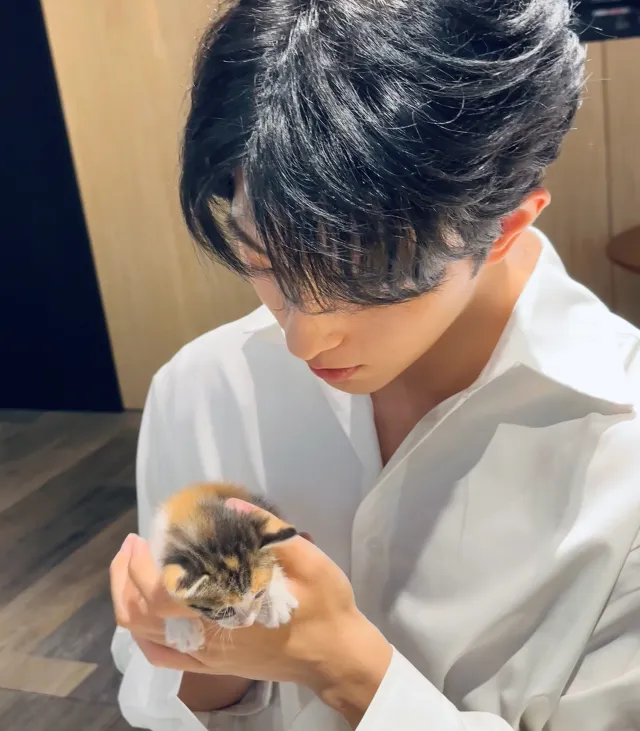 【Xingqiu】My Roommate is So Cute