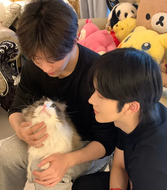 Double Concerto [Xing Qiu]