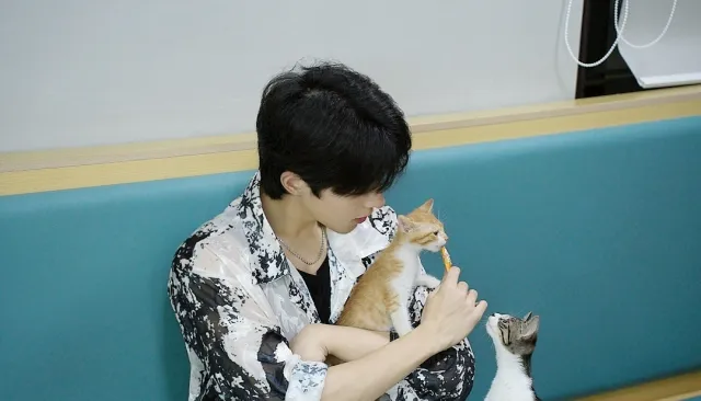 Star Qiu: The Crimson Pearl Falls into Zen