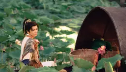 [Lei Peng] Mole Scar