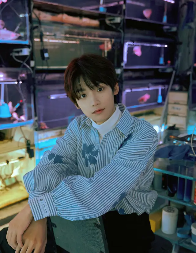 [Yuan Danjin] Pagoda Tree