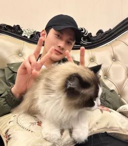 Seven Brief Lessons on Physics