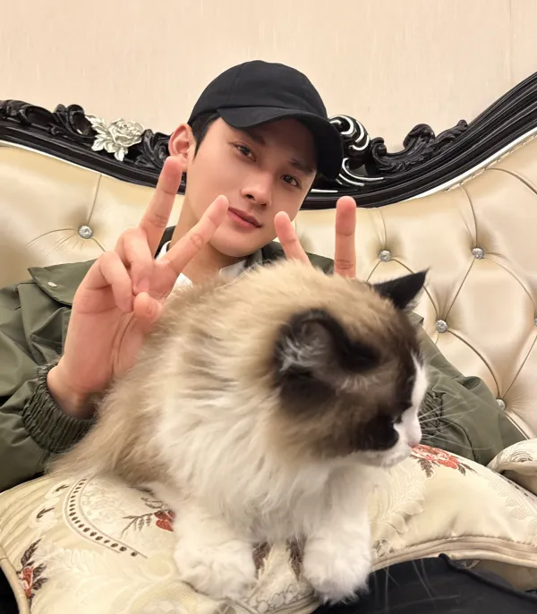 Seven Brief Lessons on Physics