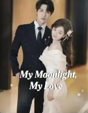 My Moonlight My Love