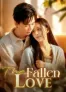 The Fallen Love