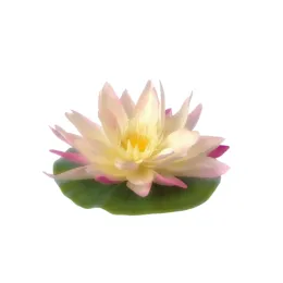 Arion, Everest, Pierce, Suhana, Empress Tuskuyumi, Emperor Haru