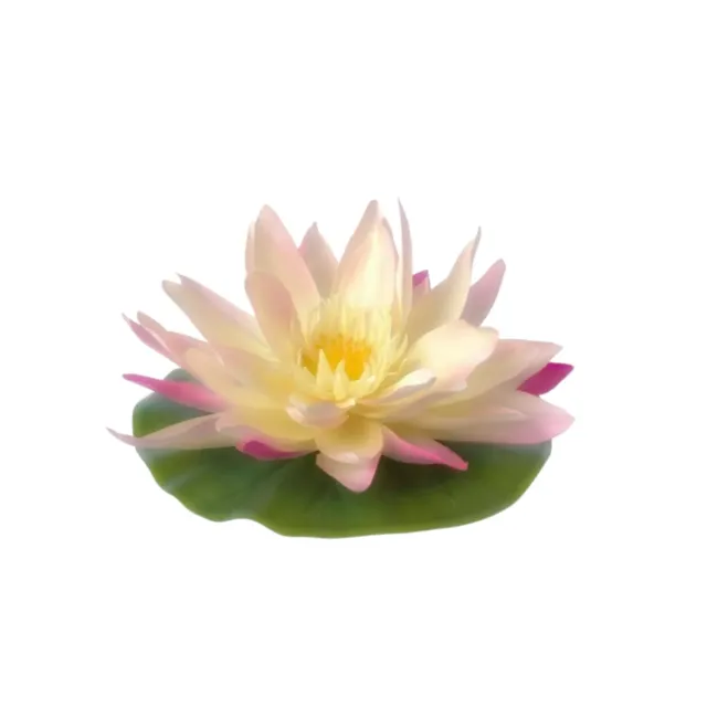 Arion, Everest, Pierce, Suhana, Empress Tuskuyumi, Emperor Haru