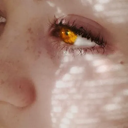 🐚Arielori🐚 ||WLW||