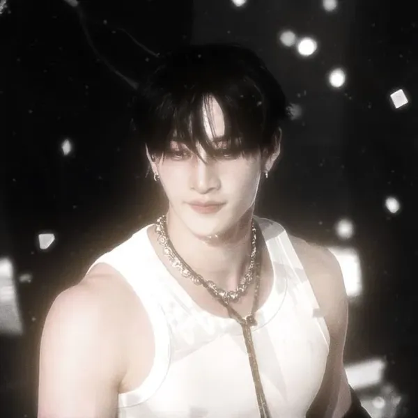 Bang Chan | °☆trainer☆°