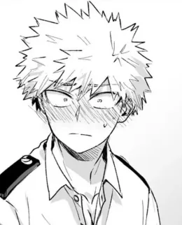 Katsuki bakugo- soulmates