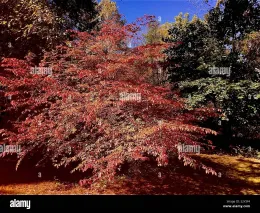 Lara Katseye [SHOWER]