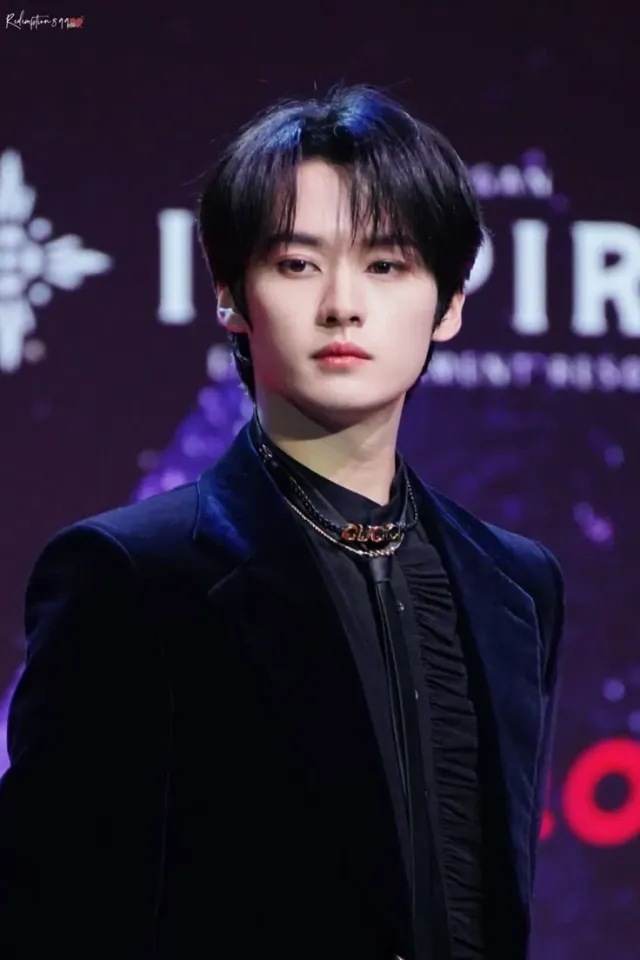 Lee Minho (Lee Know) (fairy owner)