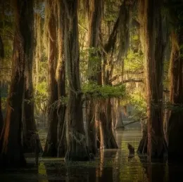 ×Margeurite Baker×