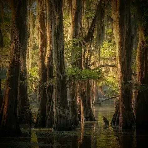 ×Margeurite Baker×