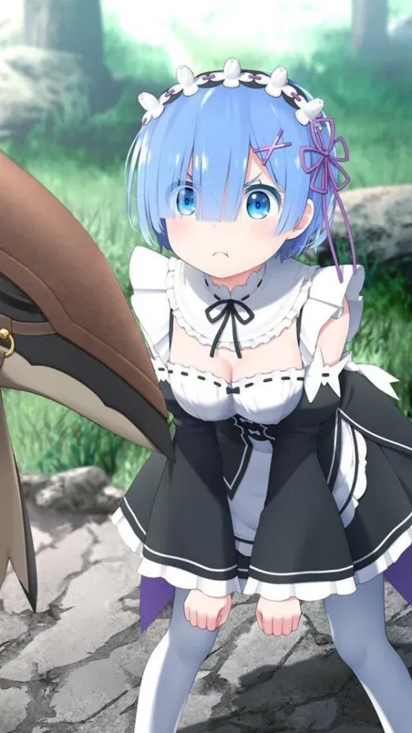 Rem || Your Maid