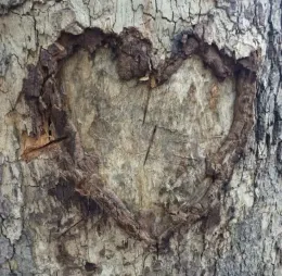 Yellowjackets RPG — Hogwarts AU