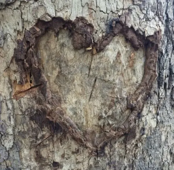 Yellowjackets RPG — Hogwarts AU