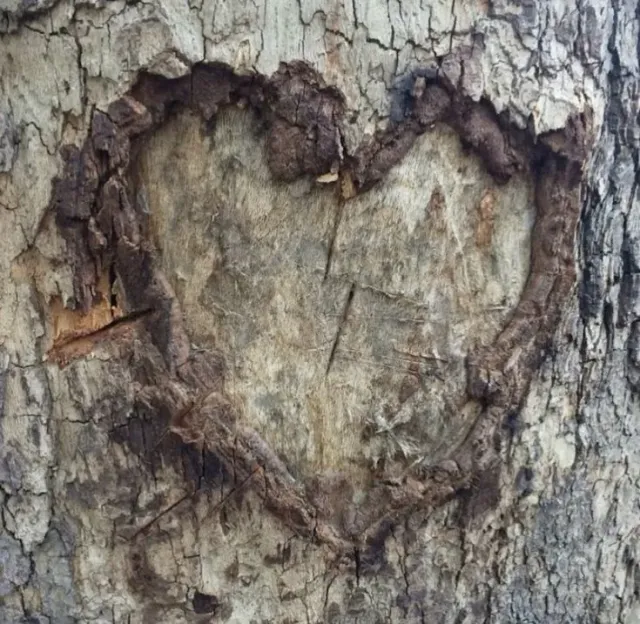 Yellowjackets RPG — Hogwarts AU