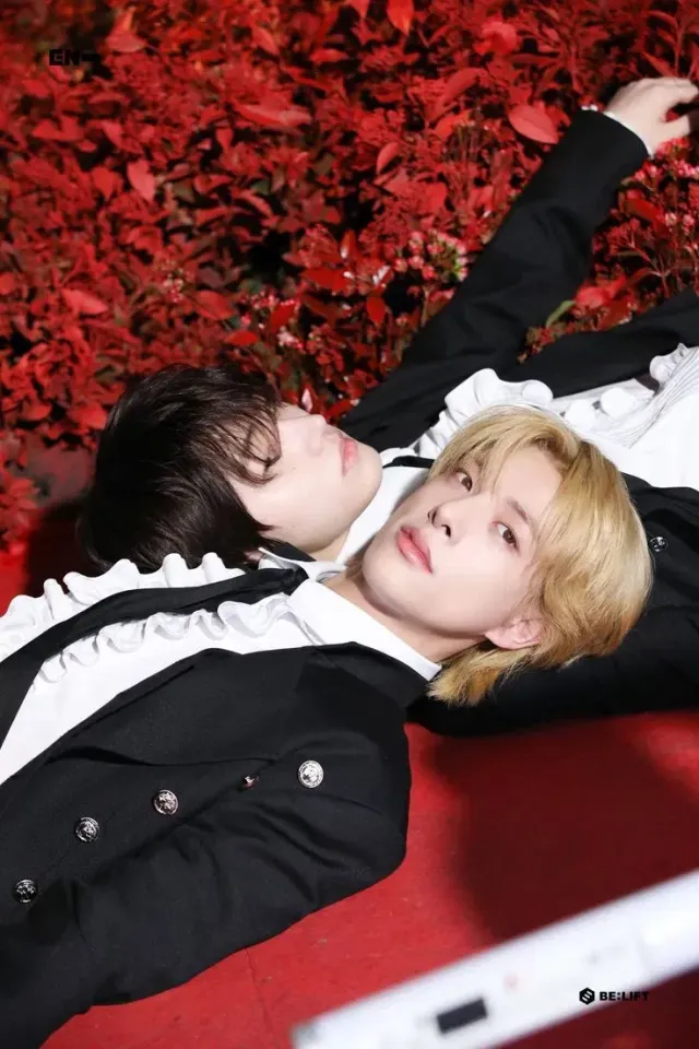 Jake💙Hoon | Romance Reborn