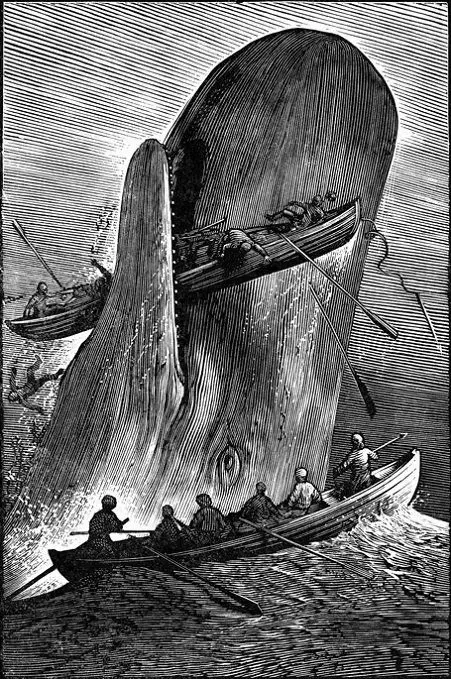 Moby dick- hunted to lover