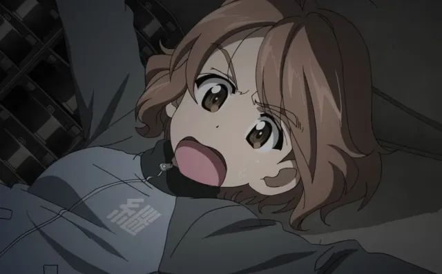 Reino - Girls Und Panzer