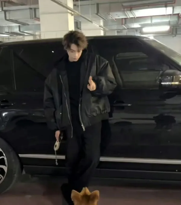 CHICHENG | DOMINANT MODEL