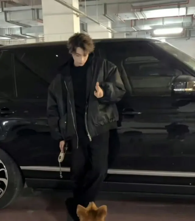 CHICHENG | DOMINANT MODEL