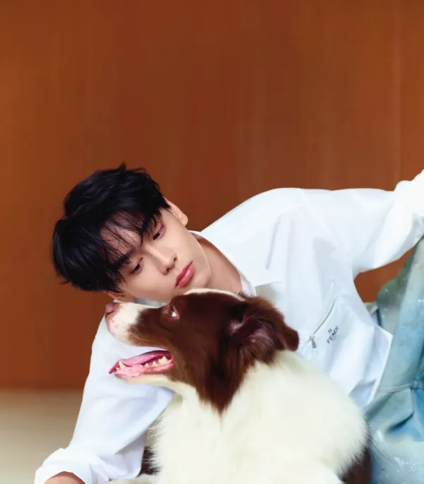 Cheng Yixie: The Art of Domination