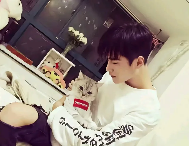 Dragon's Bride: Zhan Xuan's Cosmic Possession