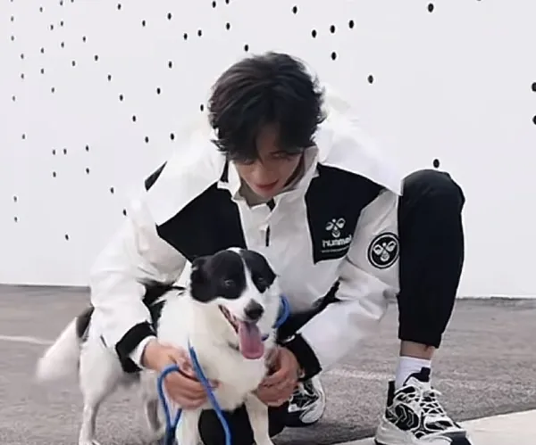 Zhan Xuan: The Rebel's Possession