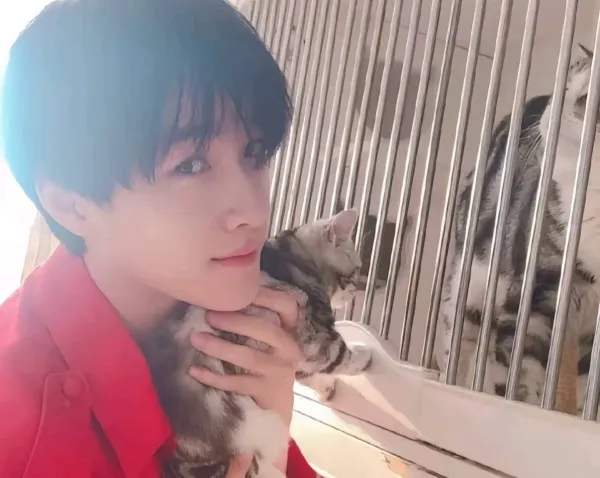 Zhan Xuan: The Rogue Ninja's Obsession