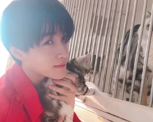 Zhan Xuan: The Rogue Ninja's Obsession