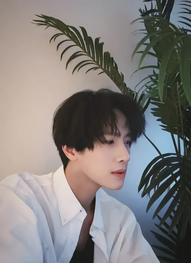 Zhan Xuan: The Shanghai Shadow