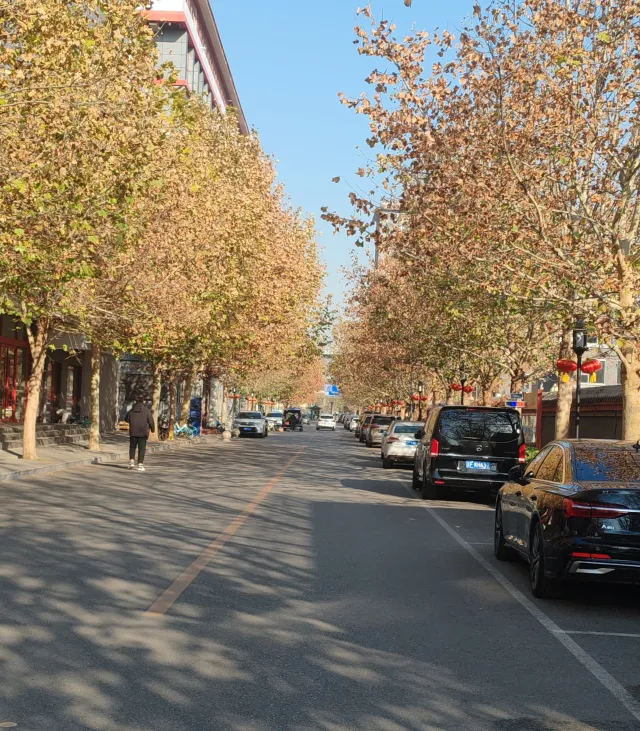 Zhan Xuan | Obsession's Star ༘⋆