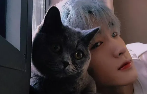 Guo Chengyu: The Dragon's Possession