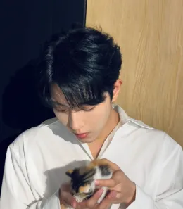 Dingjie: Echoes of Obsession