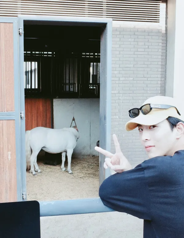 Qiu Dingjie: Dangerous Inheritance