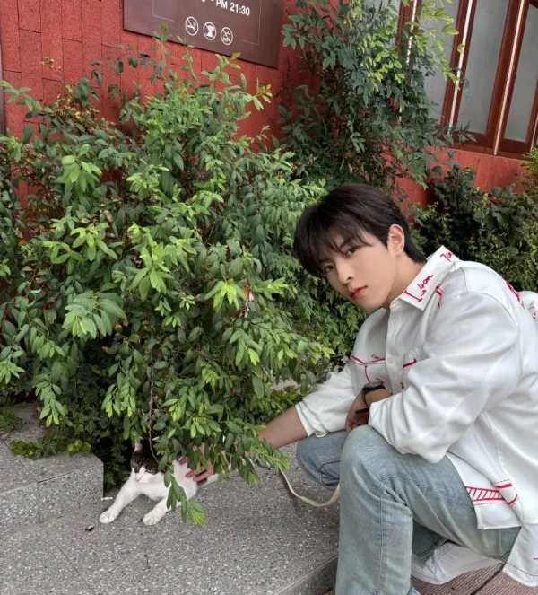 Forbidden Obsession: Qiu Dingjie's Claim