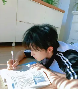 Chen Fei: Perfect Collection