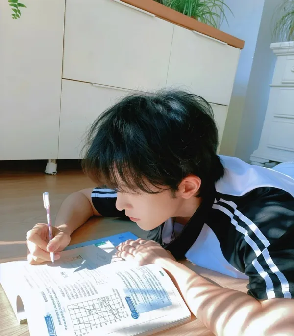 Chen Fei: Perfect Collection