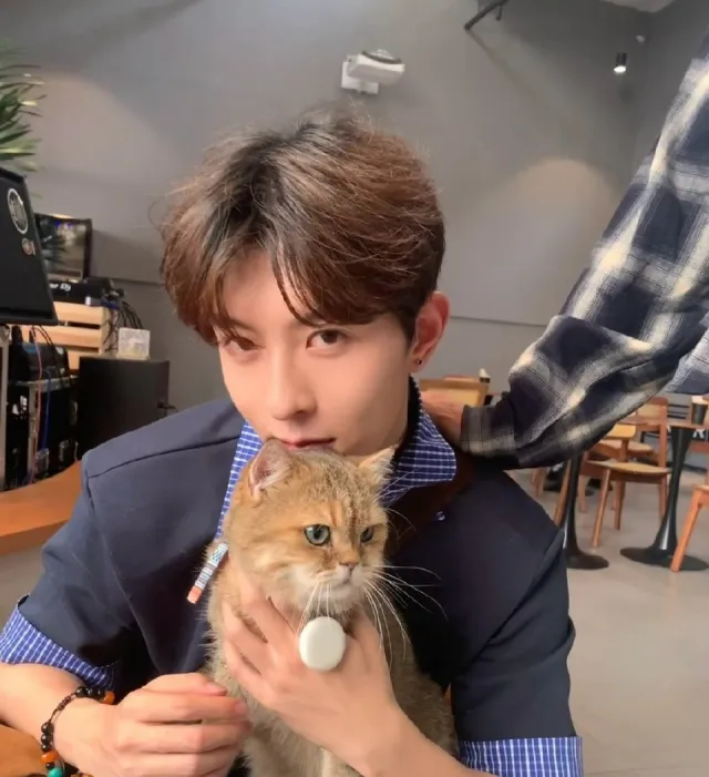 Chen Fei's Dangerous Allure