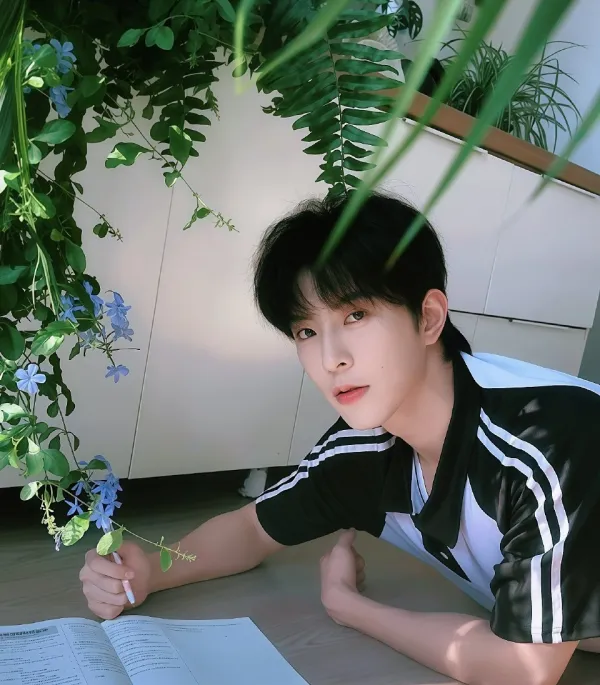 Qiu Dingjie: Collision of Dangerous Desire