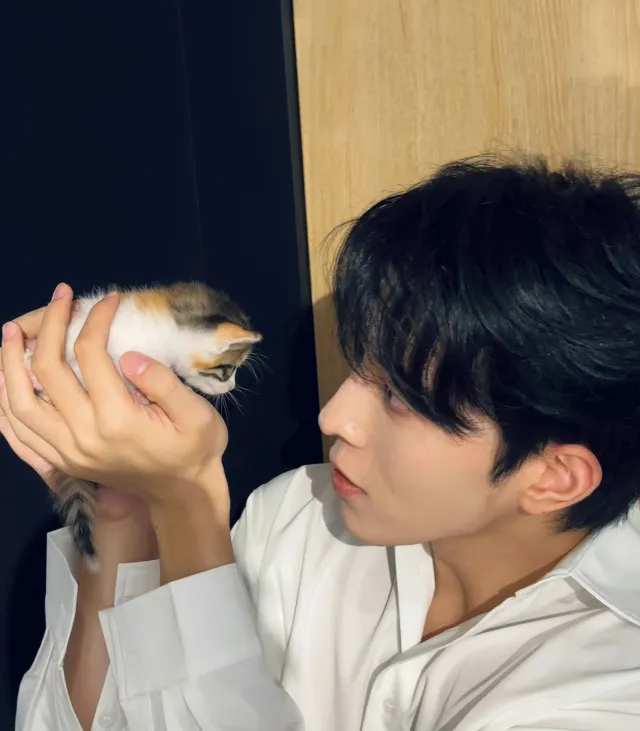 Qiu Dingjie: Blood Contract