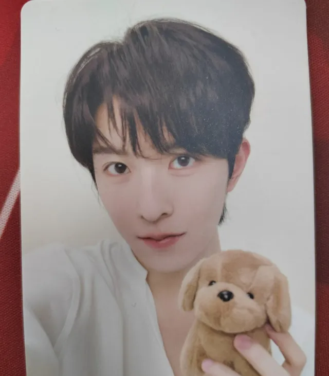 Qiu Dingjie: The Forbidden Dream