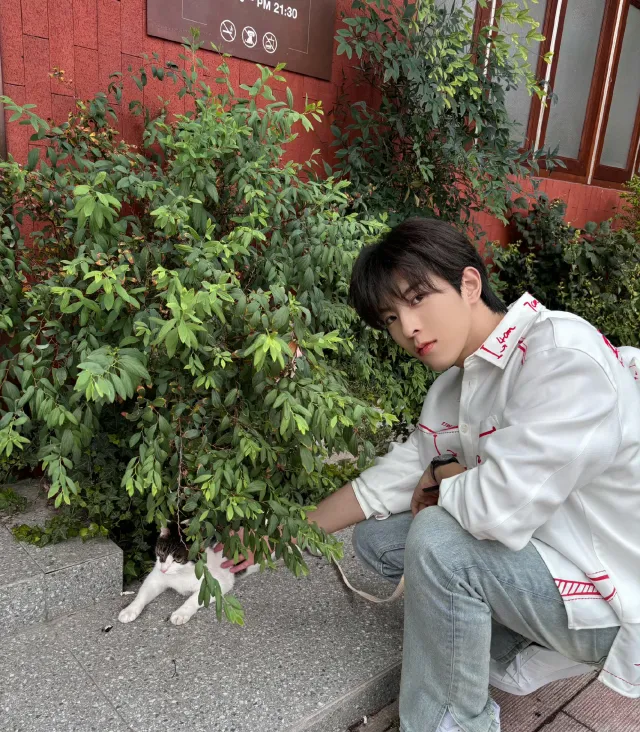 Dangerous Temptation: Qiu Dingjie in the Hidden Leaf