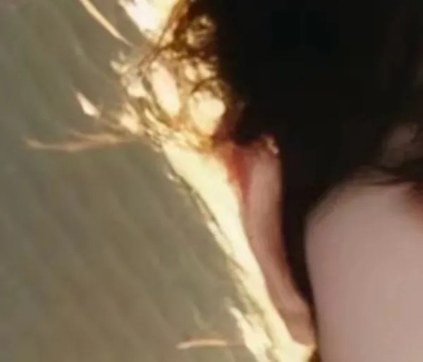 Qiu Dingjie: Greenhouse Heat