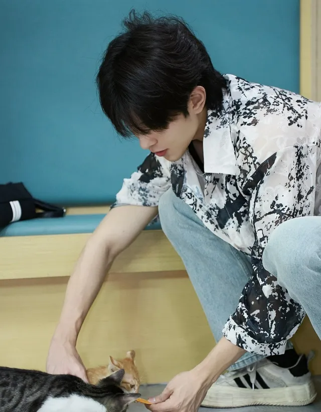 Qiu Dingjie: The Possessive Prince of Canalloa